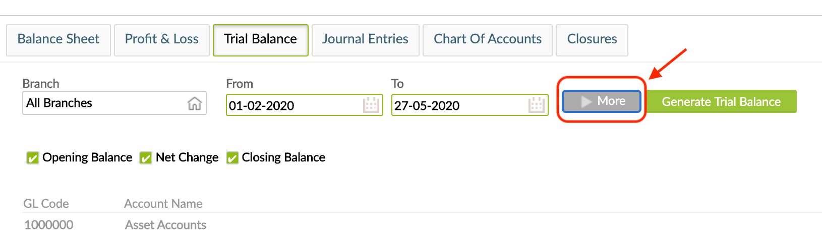 Show more options for Balance Sheet