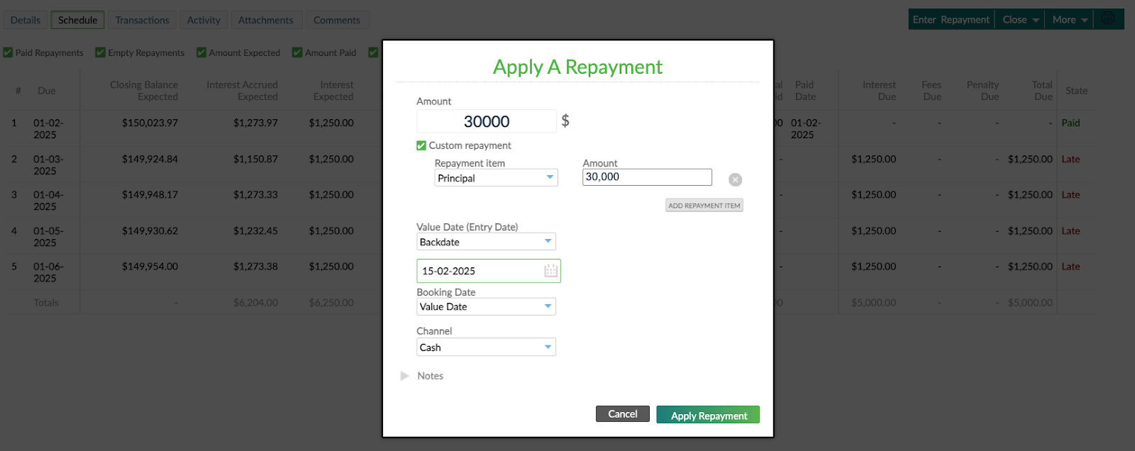custom-repayments-in-principal.png