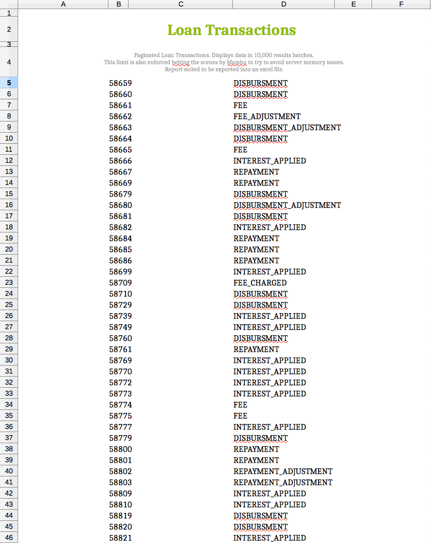 developer--paginated-loan-transactions-report-preview.png