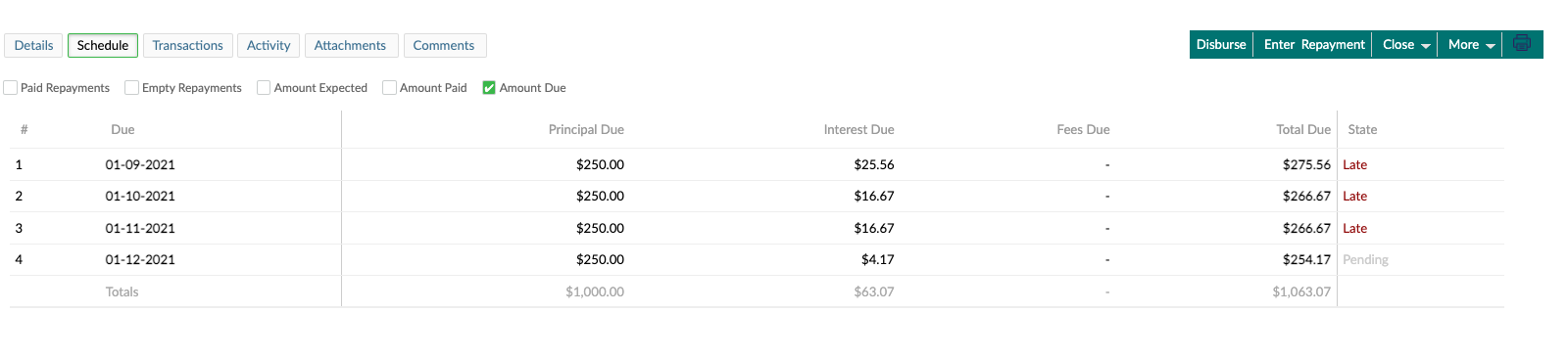 The schedule of a Revolving loan showing the amount due