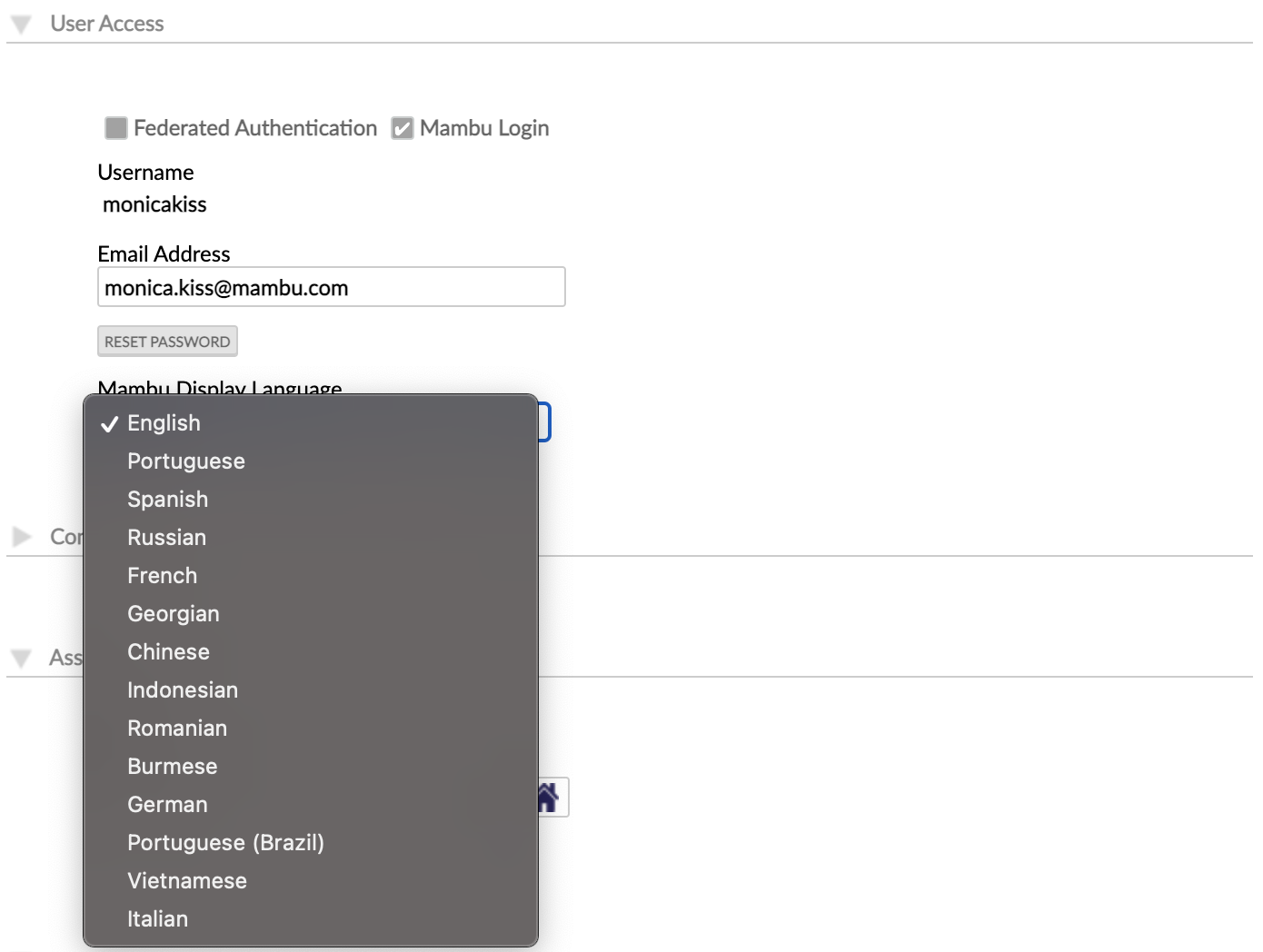Screen capture of available display languages.